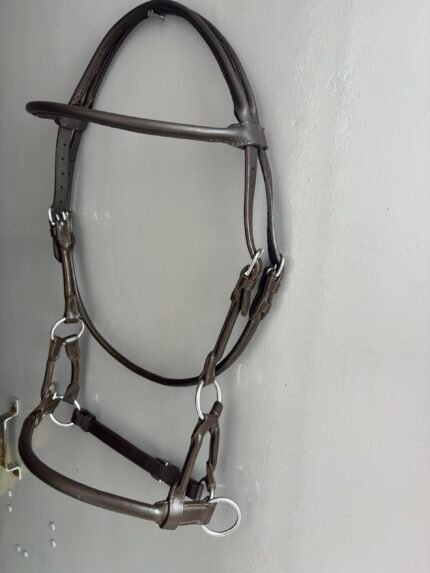 sidepull bridle